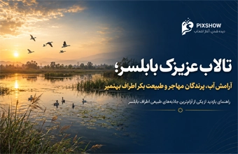 تالاب عزیزک بابلسر؛ آرامش آب، پرندگان مهاجر و طبیعت بکر اطراف بهنمیر