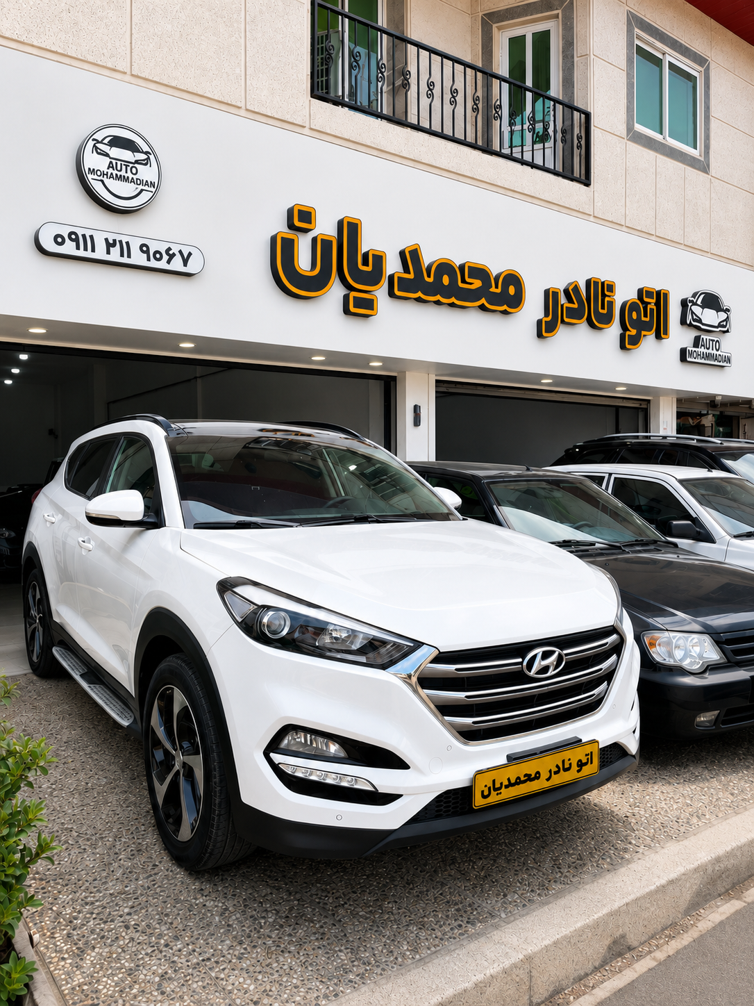 نمایشگاه ماشین اتو نادر محمدیان 