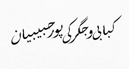 کبابی و جگرکی پورحبیبیان